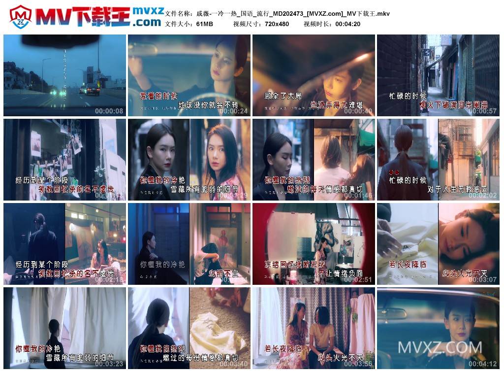 戚薇-一冷一热_国语_流行_MD202473